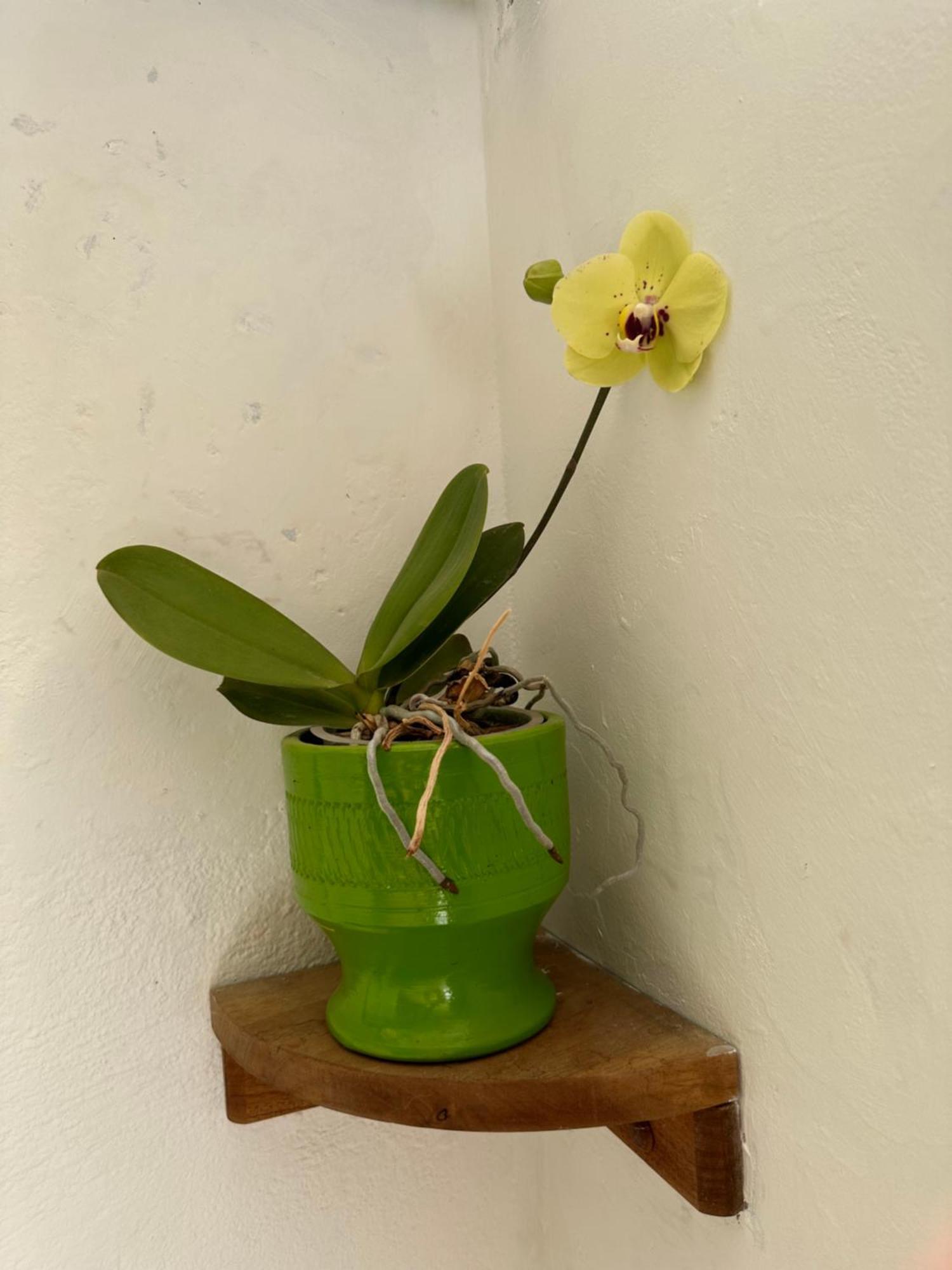 H-Ostello La Meridiana 莱瓦镇 外观 照片